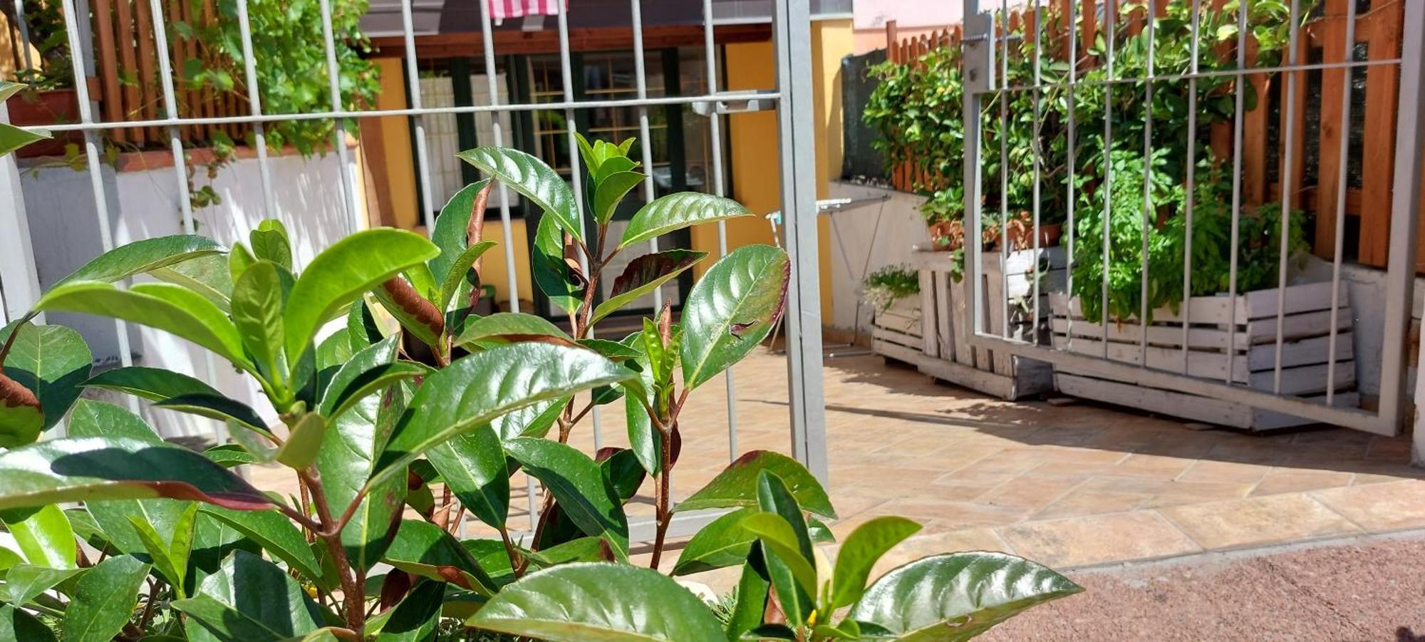 Casa Vacanze Laura Tortolì Екстериор снимка